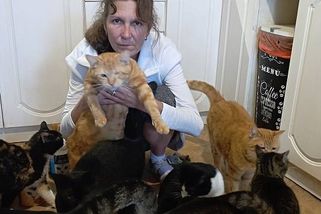 Občas musím překonat i sama sebe, říká Klára Hrušková, která pečuje o 42 koček